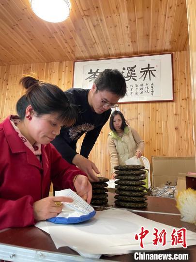 資料圖：杜贏(左二)在整理白茶餅?！×执阂?攝